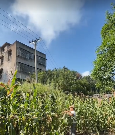 QQ瀏覽器截圖20260811223834.png