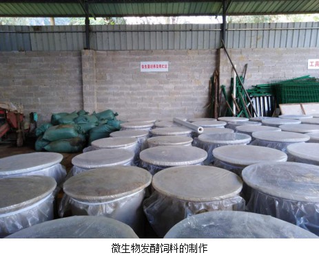 微生物發(fā)酵飼料的制作2.jpg