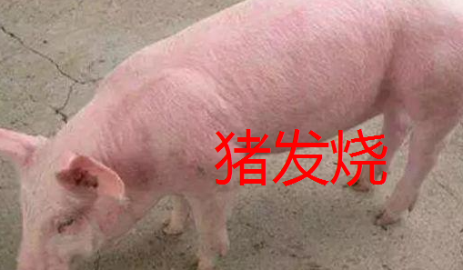 截圖20260813095822.png