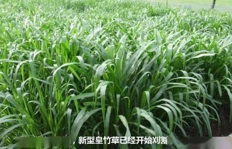 QQ瀏覽器截圖20260814124134.png
