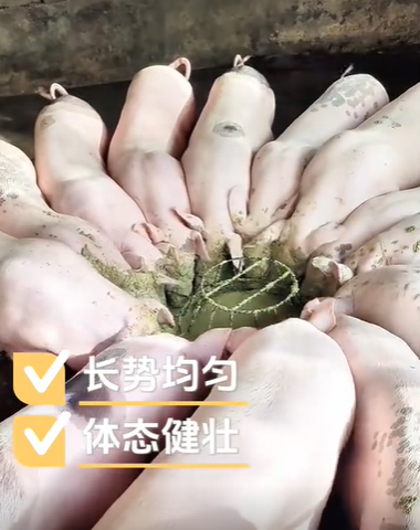QQ瀏覽器截圖20260814124803.png