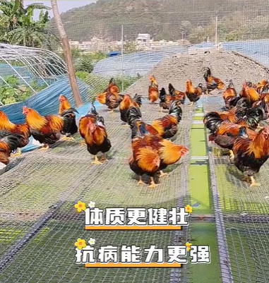QQ瀏覽器截圖20260814233049.png