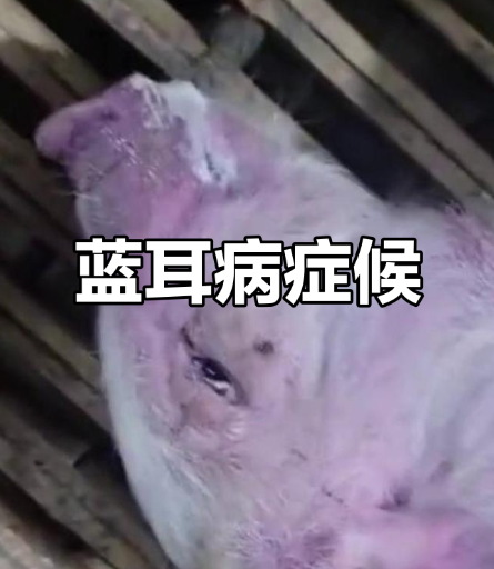 截圖20260817092146.png