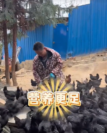 QQ瀏覽器截圖20260817224646.png