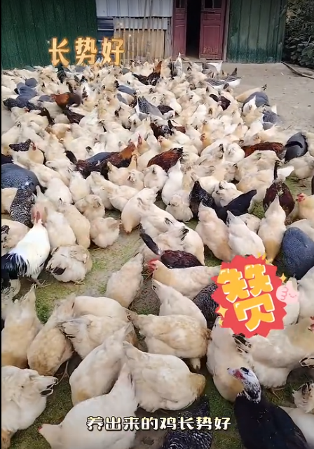 截圖20260819091523.png