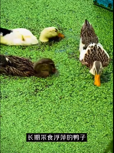 截圖20260709091125.png