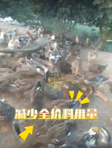 QQ瀏覽器截圖20260821224007.png
