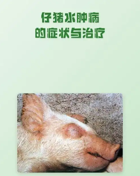 截圖20260825100832.png
