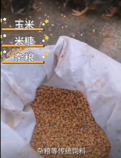 QQ瀏覽器截圖20260825123809.png