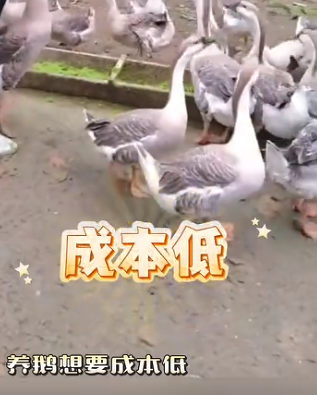 截圖20260828092656.png
