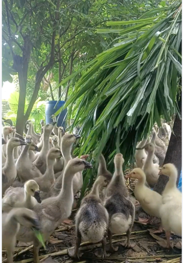 截圖20260828093251.png