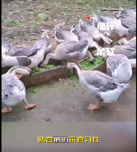 截圖20260828093534.png