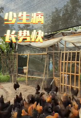 QQ瀏覽器截圖20260828212937.png