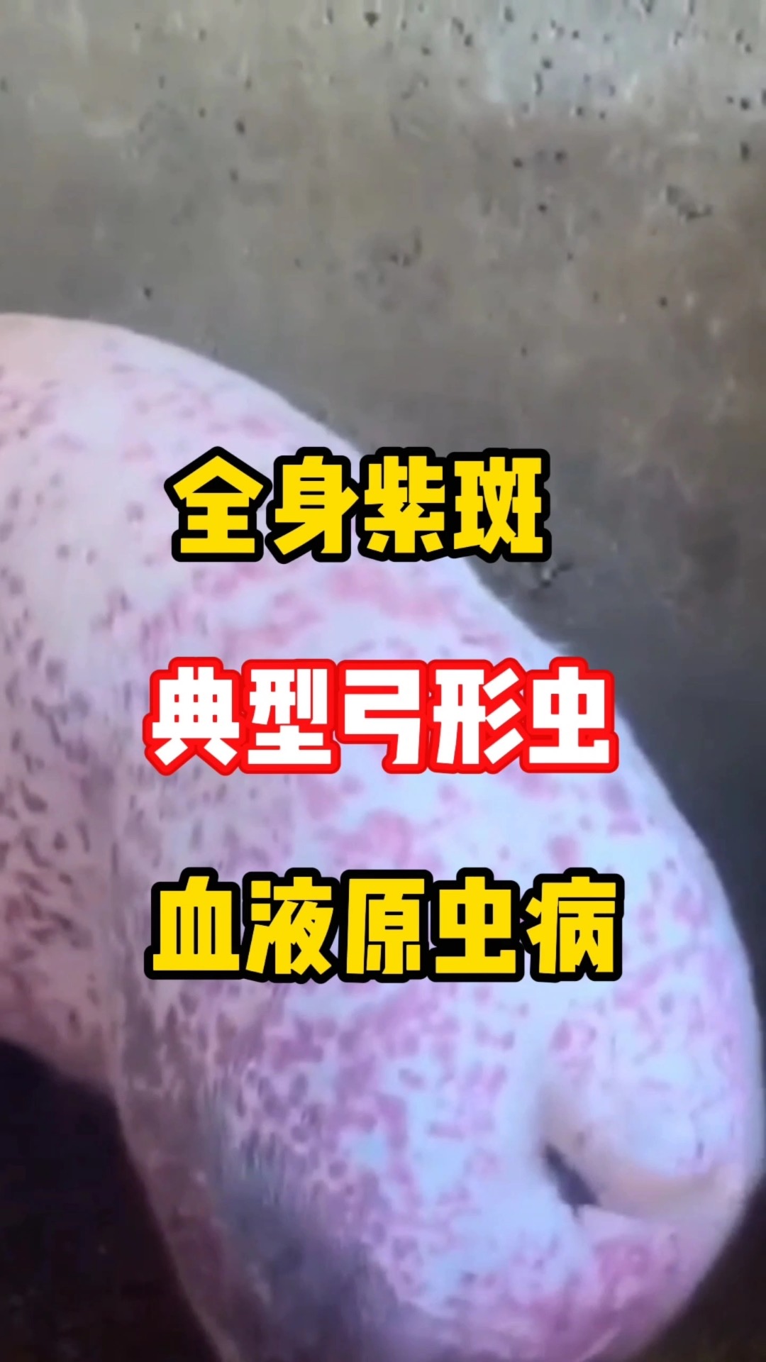 微信圖片_20260831094227.jpg