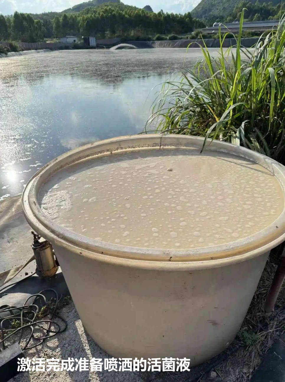 激活完成準備噴灑的活菌液.jpg