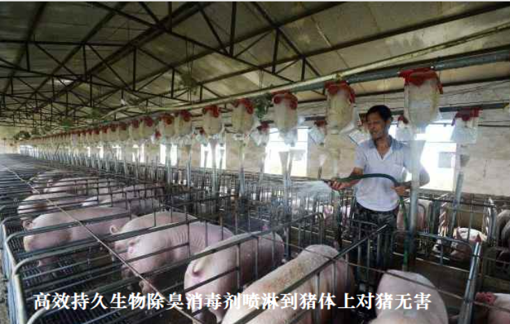QQ瀏覽器截圖20260902230127.png