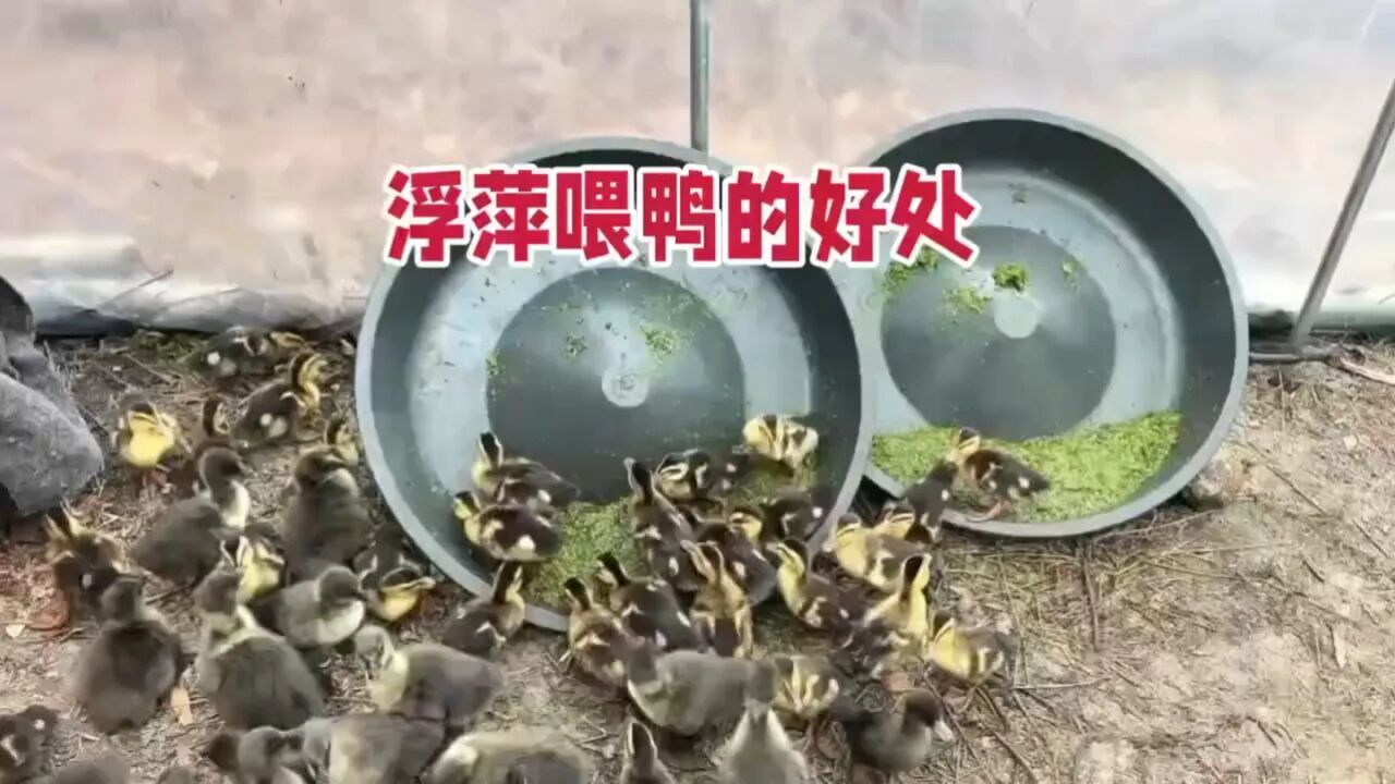 QQ圖片20260521145744.png