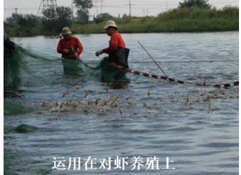QQ瀏覽器截圖20260904222849.png
