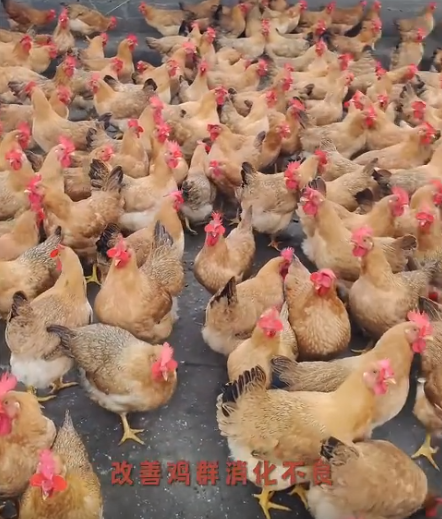 截圖20260908092625.png