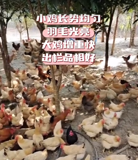截圖20260908092949.png