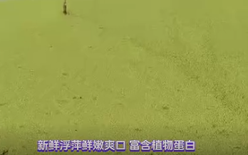 截圖20260911105538.png