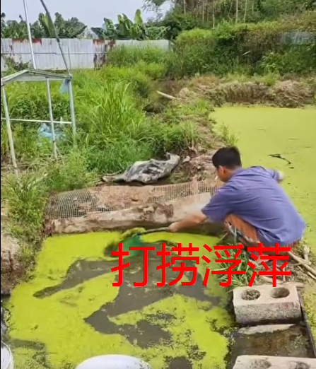 截圖20260911110131.png