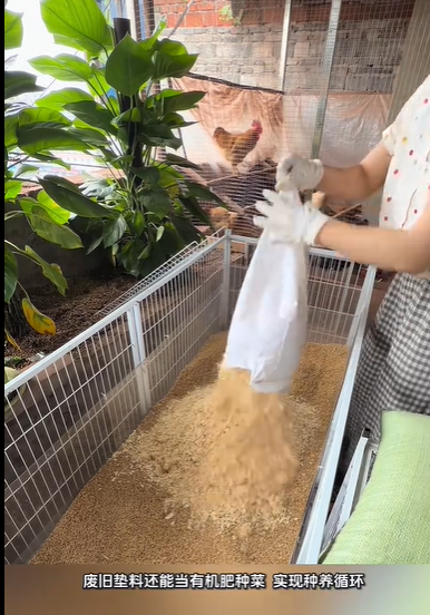 QQ瀏覽器截圖20260911235926.png