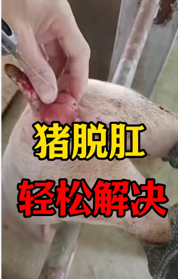 截圖20260914100457.png