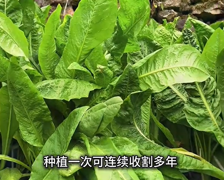 QQ瀏覽器截圖20260915222855.png