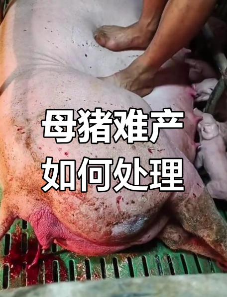 截圖20260916091130.png